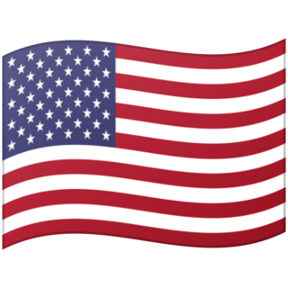 The flag of US
